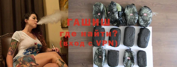 стаф Алзамай