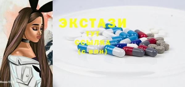 стаф Алзамай