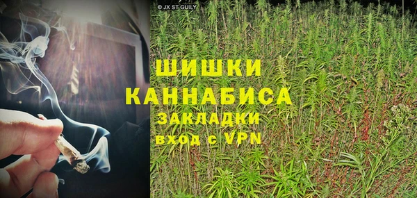 сатива Сафоново