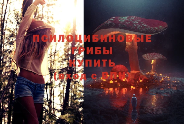 стаф Алзамай