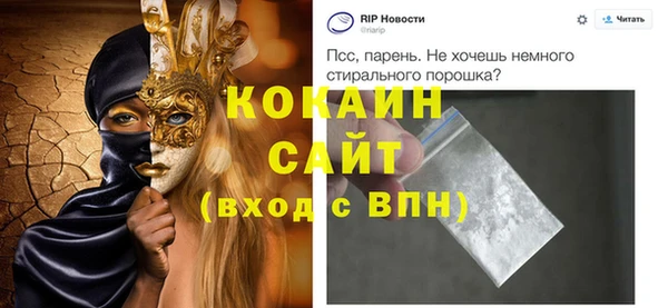соль ск Алексин