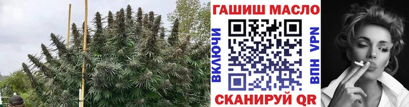 Дистиллят ТГК вейп  Берёзовка 